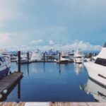 Hoeveel geld heeft Willem Alexander: het verhaal achter zijn vermogen