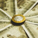 Het enorme vermogen van Charlene de Carvalho Heineken onder de loep